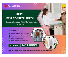 Need Reliable Pest Exterminators in Perth?