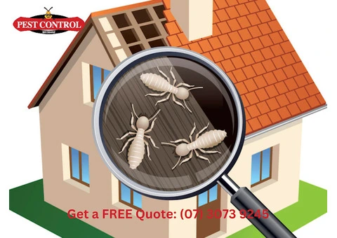 Protect Your Property with Expert Termite Treatment in Brisbane