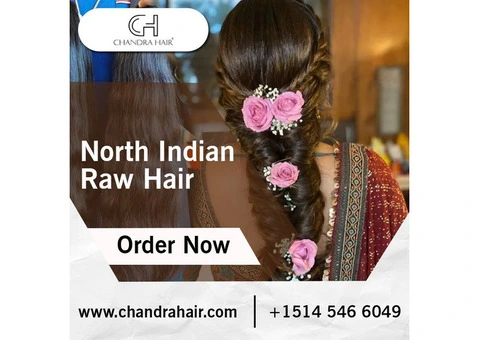 Buy North Indian Raw Hair Online - Chandra Hair