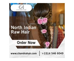 Buy North Indian Raw Hair Online - Chandra Hair