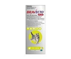 Buy Bravecto Plus for Small Cats 1.2 to 2.8kg Green|Flea, Ticks, Worms Treatment | VetSupply