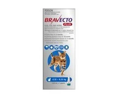 Buy Bravecto Plus for Medium Cats 2.8 to 6.25kg Blue|Flea, Ticks, Worms Treatment | VetSupply
