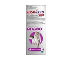 Buy Bravecto Plus for Large Cats 6.25 to 12.5kg Purple|Flea, Ticks, Worms Treatment | VetSupply