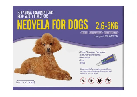 Buy Neovela (Selamectin) Flea and Worming For Dogs 2.5 - 5 Kg Purple Online