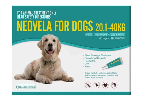 Buy Neovela (Selamectin) Flea and Worming For Dogs 20 - 40 Kg Aqua Online