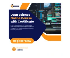Data Science Online Course With Certificate In Zirakpur CADL
