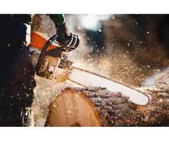 Tree Lopping Sydney North Shore