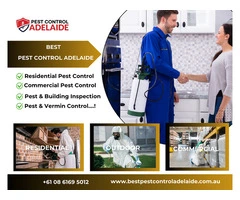 Top-Notch Pest Control in Adelaide