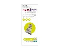 Buy Bravecto Spot On For Small Cats (1.2 - 2.8 kg) Light Green Pack at lowest price online