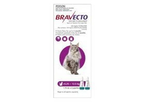 Buy Bravecto Spot On For Large Cats (6.25 - 12.5 kg) Purple Pack