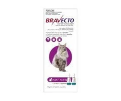 Buy Bravecto Spot On For Large Cats (6.25 - 12.5 kg) Purple Pack