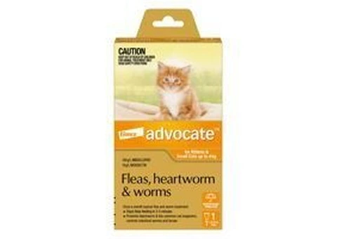 Buy Advocate For Kittens & Small Cats Up To 4Kg Orange Pack