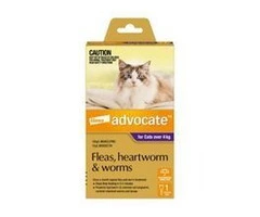 Buy Advocate For Cats Over 4Kg (Purple) Pack at lowest price online
