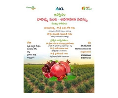 Expert Farm Advisory Services for Optimized