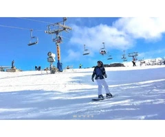 Lake Mountain Snow Tour