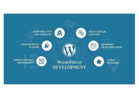 Innovate WordPress Development for Modern Business