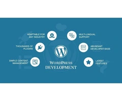 Innovate WordPress Development for Modern Business