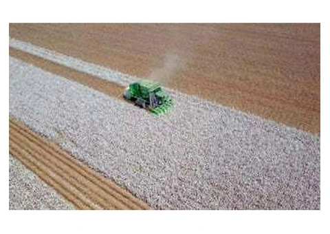 Top Reasons to Choose Us for Agricultural Earthworks Jobs Recruitment