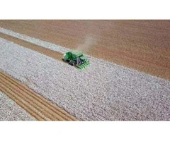 Top Reasons to Choose Us for Agricultural Earthworks Jobs Recruitment