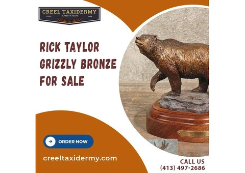 Rick Taylor Grizzly Bronze For Sale | Creel Taxidermy