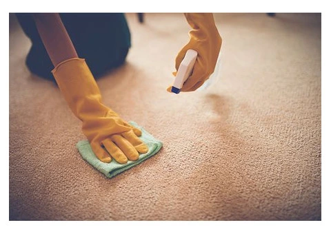 Daylesford's Carpet Cleaning Marvels: Unleash the Cleanliness