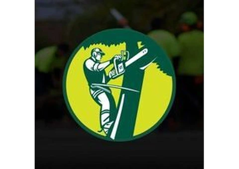 Jordans tree Servcies - 1/4