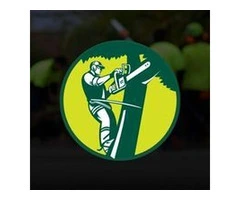 Jordans tree Servcies