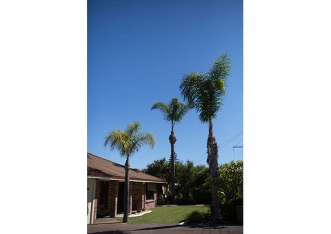 Jordans tree Servcies - 3/4