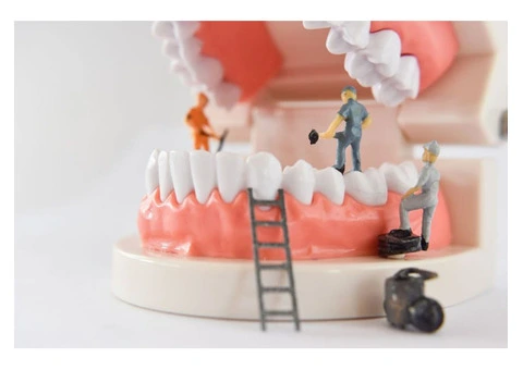 Best Dentist Campbelltown