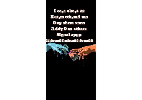 Bumble Bee Transformer Figurine.