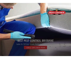 Say Goodbye to Bed Bugs with Best Pest Control Service in Brisbane