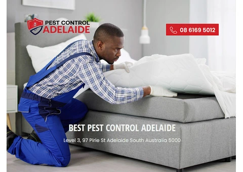 Effective Bed Bug Control in Adelaide
