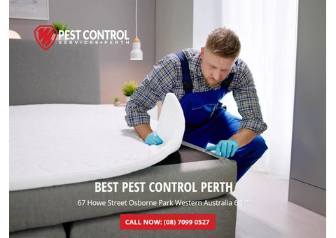Bed Bug Control Perth: Residential & Commercial