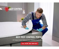 Bed Bug Control Perth: Residential & Commercial