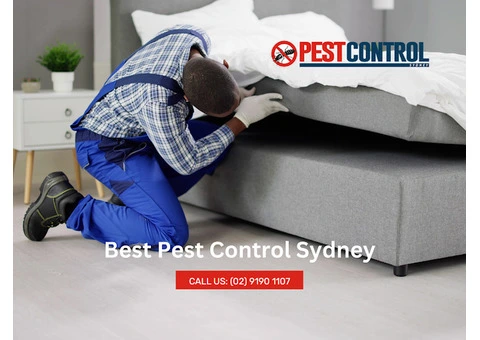 Reliable Bed Bug Control in Sydney