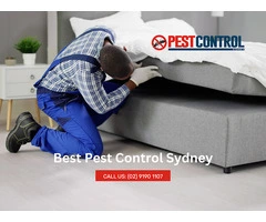 Reliable Bed Bug Control in Sydney