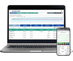 Transform Your Financial Projections with Moolamore Tool