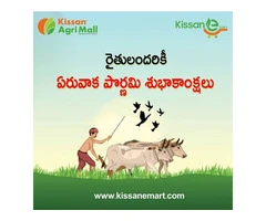 Expert Farm Advisory Services for Optimized Agricultural Practices