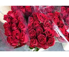 Same Day Red Roses Delivery Melbourne