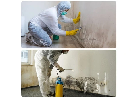 Protect Your Property Melbourne Mold Removal