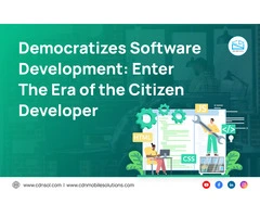 Looking For A Custom Software Development Agency For low-code and no-code platforms Business