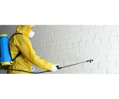 Pest Control Hope Island