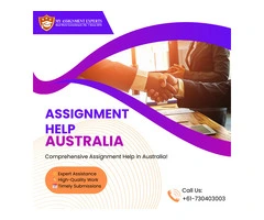 University Assignment Help from PhD Professionals