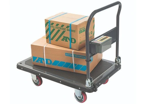 For Sale: Portable Weight Scale