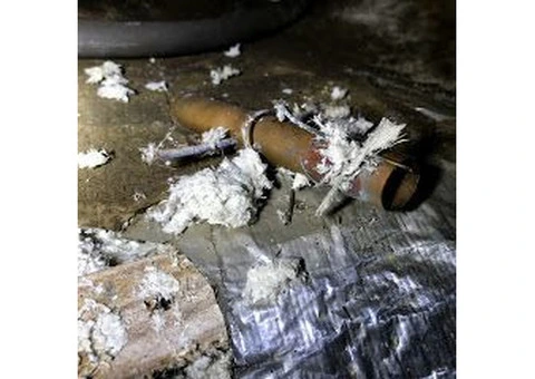 Mould Inspection Sydney | Mould Testing Sydney | Integrated Environmental