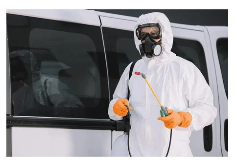 Expert White Ant Treatment in Sydney - Safeguard Your Property!