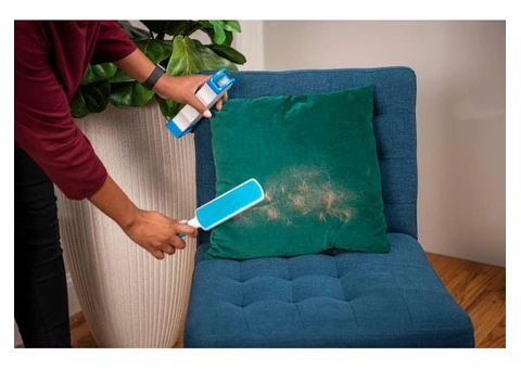 How to Remove Stains from a Couch | Squeaky Clean Sofa