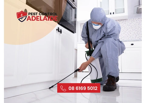 Top-Quality Commercial Pest Control in Adelaide