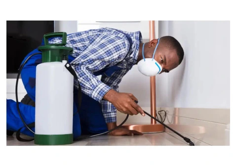 Pest Control Helensvale