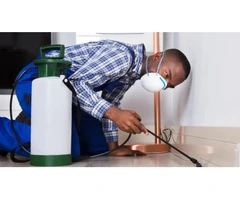 Pest Control Helensvale